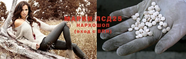 амф Кулебаки